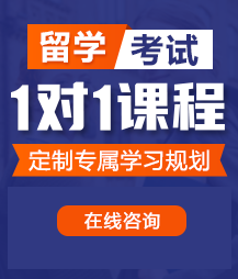 操死我的小骚逼的视频免费观看留学考试一对一精品课